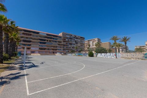 Leilighet i Torrevieja, Alicante, Torrevieja - € 233 300 | Ref: 31113 - foto 21