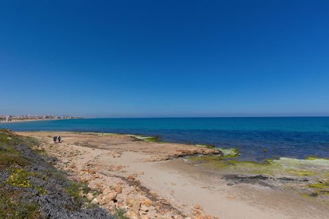 Leilighet i Torrevieja, Alicante, Torrevieja - € 233 300 | Ref: 31113 - foto 24