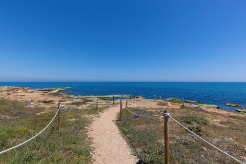 Leilighet i Torrevieja, Alicante, Torrevieja - € 233 300 | Ref: 31113 - foto 27