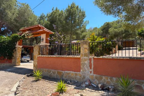 Landejendom i Orihuela, Alicante, Orihuela - € 330.000 | Ref: cw3014 - foto 2