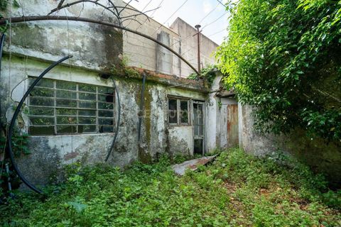 Villa i Lousa, Coimbra, Lousa - € 140.000 | Ref: C0289-02020 - foto 13