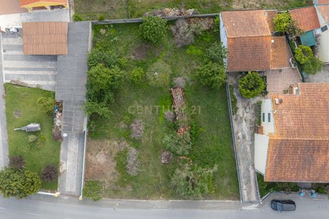 Helårsgrund i Coimbra, Coimbra, Coimbra - € 75.000 | Ref: C0457-00846 - foto 9