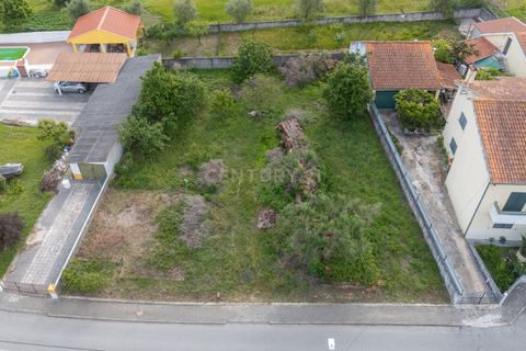 Helårsgrund i Coimbra, Coimbra, Coimbra - € 75.000 | Ref: C0457-00846 - foto 10