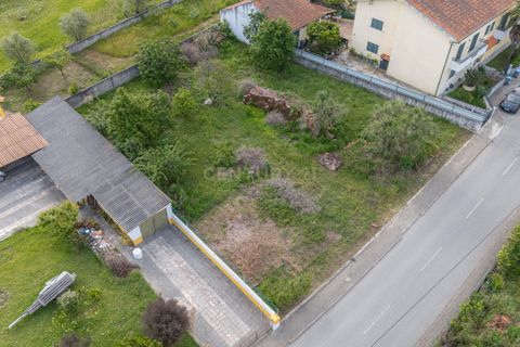 Helårsgrund i Coimbra, Coimbra, Coimbra - € 75.000 | Ref: C0457-00846 - foto 14