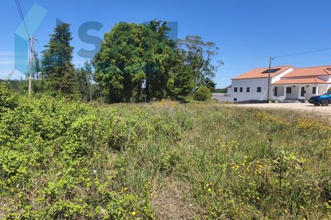 Erhvervsejendom i Cadaval, Lisbon, Cadaval - € 290.000 | Ref: SMA/SM009-26 - foto 2