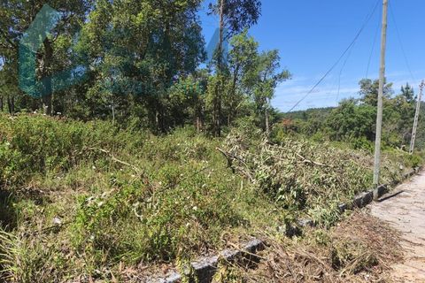 Erhvervsejendom i Cadaval, Lisbon, Cadaval - € 290.000 | Ref: SMA/SM009-26 - foto 3
