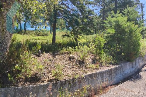 Erhvervsejendom i Cadaval, Lisbon, Cadaval - € 290.000 | Ref: SMA/SM009-26 - foto 4