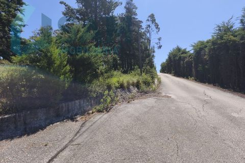 Erhvervsejendom i Cadaval, Lisbon, Cadaval - € 290.000 | Ref: SMA/SM009-26 - foto 5
