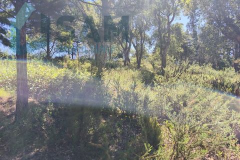 Erhvervsejendom i Cadaval, Lisbon, Cadaval - € 290.000 | Ref: SMA/SM009-26 - foto 6