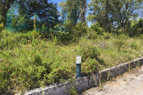Erhvervsejendom i Cadaval, Lisbon, Cadaval - € 290.000 | Ref: SMA/SM009-26 - foto 7
