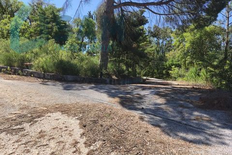 Erhvervsejendom i Cadaval, Lisbon, Cadaval - € 290.000 | Ref: SMA/SM009-26 - foto 8
