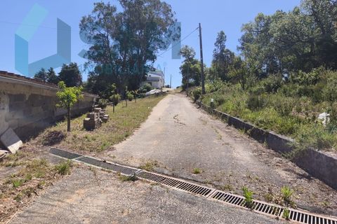 Erhvervsejendom i Cadaval, Lisbon, Cadaval - € 290.000 | Ref: SMA/SM009-26 - foto 9