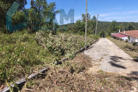Erhvervsejendom i Cadaval, Lisbon, Cadaval - € 290.000 | Ref: SMA/SM009-26 - foto 10