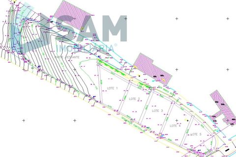 Erhvervsejendom i Cadaval, Lisbon, Cadaval - € 290.000 | Ref: SMA/SM009-26 - foto 14