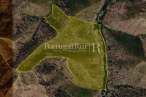 Helårsgrund i Macao, Santarem, Macao - € 85.000 | Ref: FL416 - foto 2