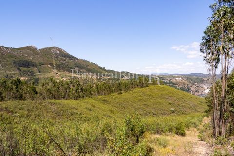 Helårsgrund i Macao, Santarem, Macao - € 85.000 | Ref: FL416 - foto 3