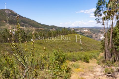 Helårsgrund i Macao, Santarem, Macao - € 85.000 | Ref: FL416 - foto 4