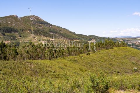 Helårsgrund i Macao, Santarem, Macao - € 85.000 | Ref: FL416 - foto 5