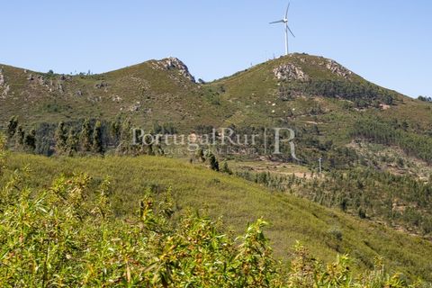 Helårsgrund i Macao, Santarem, Macao - € 85.000 | Ref: FL416 - foto 6