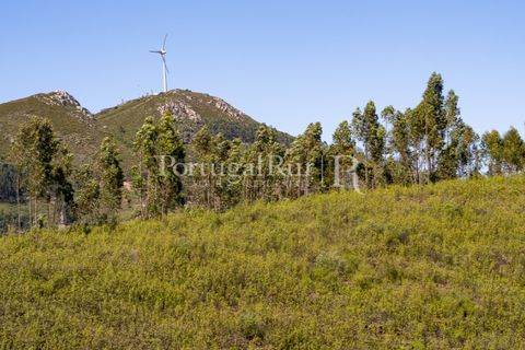 Helårsgrund i Macao, Santarem, Macao - € 85.000 | Ref: FL416 - foto 8