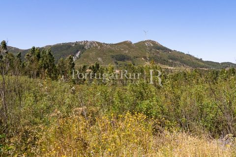 Helårsgrund i Macao, Santarem, Macao - € 85.000 | Ref: FL416 - foto 9