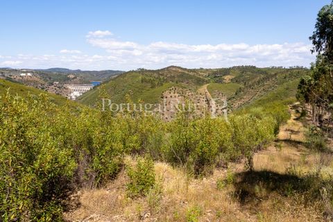 Helårsgrund i Macao, Santarem, Macao - € 85.000 | Ref: FL416 - foto 10