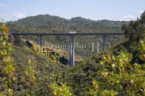 Helårsgrund i Macao, Santarem, Macao - € 85.000 | Ref: FL416 - foto 12
