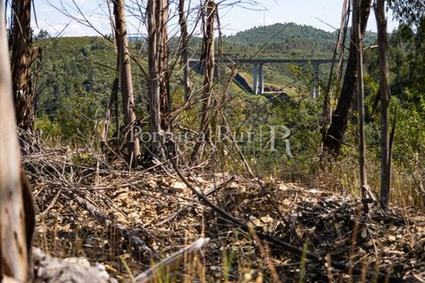 Helårsgrund i Macao, Santarem, Macao - € 85.000 | Ref: FL416 - foto 13