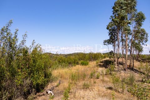Helårsgrund i Macao, Santarem, Macao - € 85.000 | Ref: FL416 - foto 16