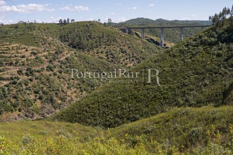 Helårsgrund i Macao, Santarem, Macao - € 85.000 | Ref: FL416 - foto 17