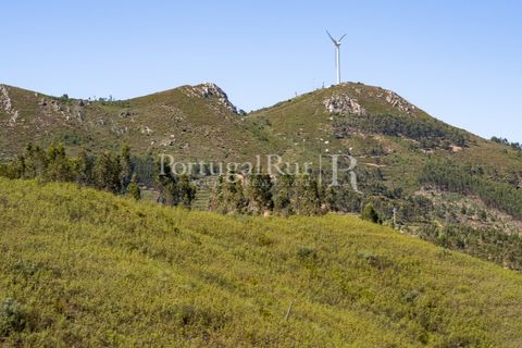 Helårsgrund i Macao, Santarem, Macao - € 85.000 | Ref: FL416 - foto 19