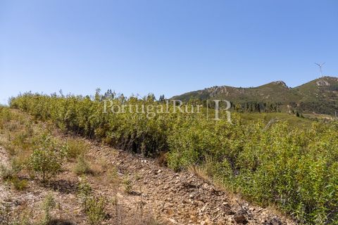 Helårsgrund i Macao, Santarem, Macao - € 85.000 | Ref: FL416 - foto 20