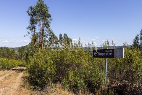 Helårsgrund i Macao, Santarem, Macao - € 85.000 | Ref: FL416 - foto 22