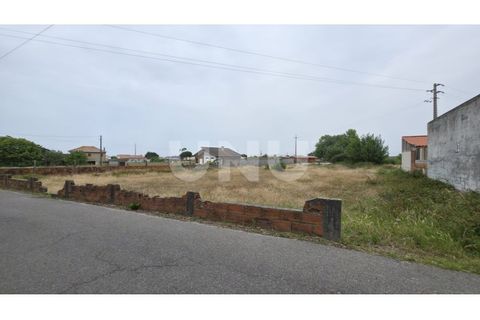 Helårsgrund i Estarreja, Aveiro, Estarreja - € 75.000 | Ref: UNU.I.1328.20562 - foto 2