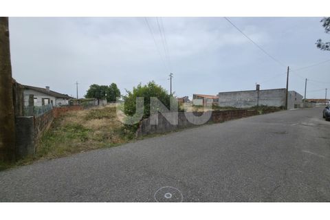Helårsgrund i Estarreja, Aveiro, Estarreja - € 75.000 | Ref: UNU.I.1328.20562 - foto 4