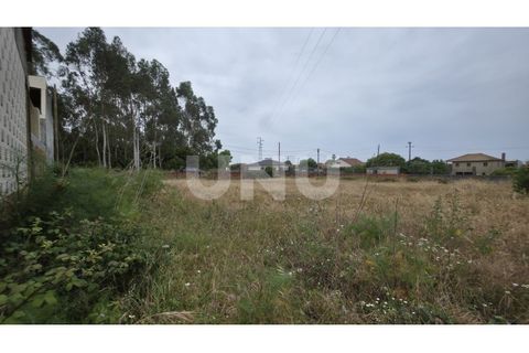 Helårsgrund i Estarreja, Aveiro, Estarreja - € 75.000 | Ref: UNU.I.1328.20562 - foto 5