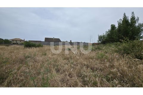 Helårsgrund i Estarreja, Aveiro, Estarreja - € 75.000 | Ref: UNU.I.1328.20562 - foto 6