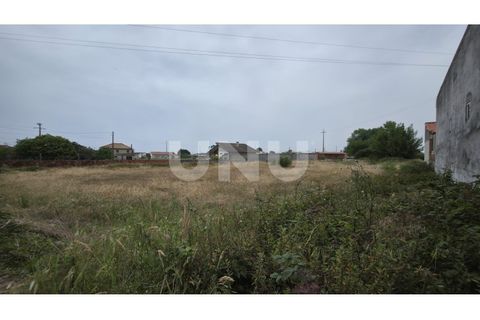 Helårsgrund i Estarreja, Aveiro, Estarreja - € 75.000 | Ref: UNU.I.1328.20562 - foto 7