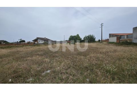 Helårsgrund i Estarreja, Aveiro, Estarreja - € 75.000 | Ref: UNU.I.1328.20562 - foto 8