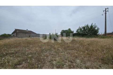 Helårsgrund i Estarreja, Aveiro, Estarreja - € 75.000 | Ref: UNU.I.1328.20562 - foto 9