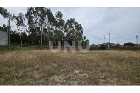 Helårsgrund i Estarreja, Aveiro, Estarreja - € 75.000 | Ref: UNU.I.1328.20562 - foto 11