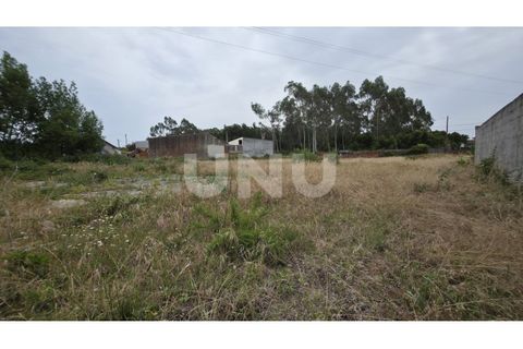 Helårsgrund i Estarreja, Aveiro, Estarreja - € 75.000 | Ref: UNU.I.1328.20562 - foto 12