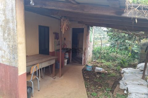 Villa a Santana, Madeira, Santana - € 229.000 | Ref: 561551003 - foto 9