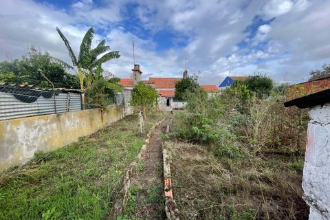 Villa i Alter do Chao, Portalegre, Alter do Chao - € 65.000 | Ref: C0364-05948 - foto 16
