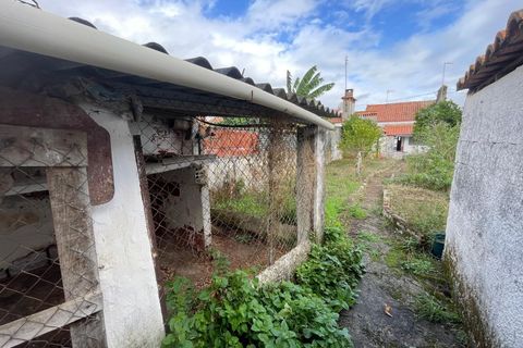 Villa i Alter do Chao, Portalegre, Alter do Chao - € 65.000 | Ref: C0364-05948 - foto 21
