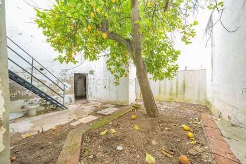 Erhvervsejendom i Sousel, Portalegre, Sousel - € 600.000 | Ref: C0364-05966 - foto 20