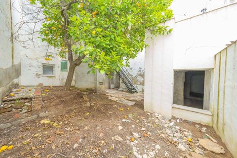 Erhvervsejendom i Sousel, Portalegre, Sousel - € 600.000 | Ref: C0364-05966 - foto 22