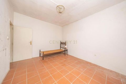 Erhvervsejendom i Sousel, Portalegre, Sousel - € 600.000 | Ref: C0364-05966 - foto 32