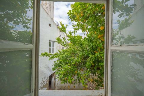 Erhvervsejendom i Sousel, Portalegre, Sousel - € 600.000 | Ref: C0364-05966 - foto 36