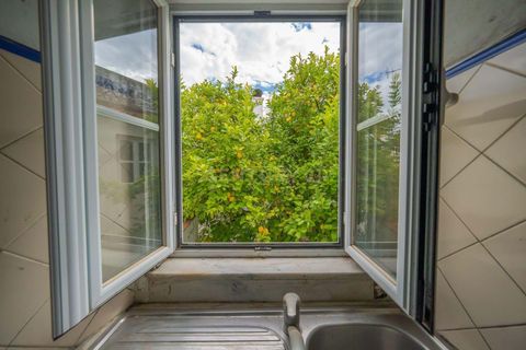 Erhvervsejendom i Sousel, Portalegre, Sousel - € 600.000 | Ref: C0364-05966 - foto 48
